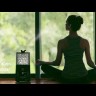 Electrolux EHU-3810D YOGAhealthline увлажнитель воздуха черный
