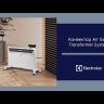 Electrolux Air Gate Transformer ECH/AG2-1000 T-TUE4-EFT/AG2 конвектор с электронным блоком и шасси