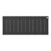 Royal Thermo PianoForte 300 Noir Sable 12 секций радиатор
