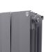 Royal Thermo PianoForte 300 Silver Satin 14 секций радиатор