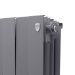Royal Thermo PianoForte 200 Silver Satin 14 секций радиатор